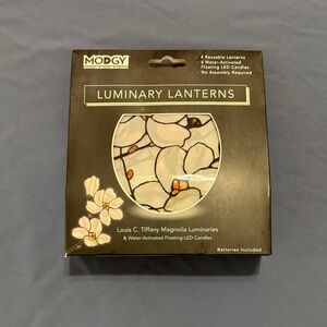 Modgy Luminary Lanterns with Floral Design